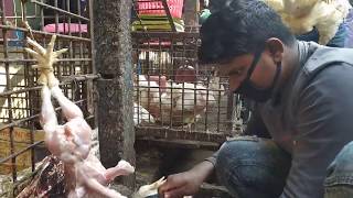 Very Fastest Hen Cutting by Young boy in Hen Market | Chicken Cutting Skill | BDAtoZ |