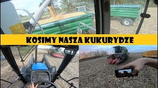 ☆Kosimy naszą kukurydzę☆Ile sypie???㋡Agro Dniówka #49㋡Agro Kuzyni㋡