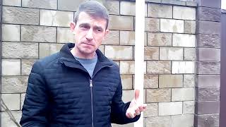 Какие саженцы хурмы мы продаем на самом деле