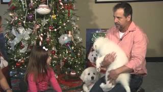 Kaitlyn Maher (8yo) "Santa Paws 2" ( WSB-TV Atlanta ) nov. 2012