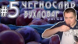 Слива и чернослив. Сливовые настойки от Бухловара