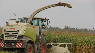[Уборка кукурузы] CLAAS Jaguar 850 | МАЗ 5516, 5551 | БЕЛАРУС 1221 + ПС-45 | КАМАЗ