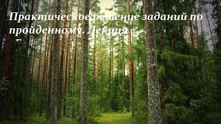 Практическое решение заданий по пройденному. Лекция «Голосеменные»