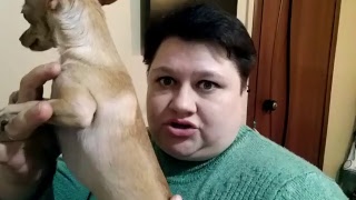 ПОЗДРАВЛЯЮ ВАС МОИ ДОРОГИЕ С РОЖДЕСТВОМ ХРИСТОВЫМ