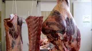 l'art du boucher : Désosser le bcu (boule cuisse)