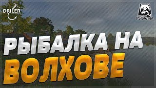 Рыбалка на реке Волхов. Проверка точек. Стрим Русская рыбалка 4