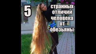 5 странных отличий человека от обезьяны