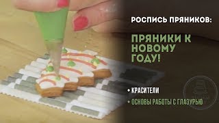 Роспись пряников: основы работы с глазурью на примере новогодних пряников
