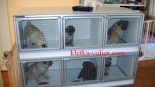Клетки и Вольеры ( Киев) - компания по изготовлению клеток и вольеров для птиц и животных.