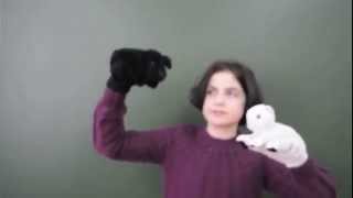 Фестиваль Melta. Выступление ученицы 5"А" (ГБОУ Школа №415)