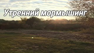 Рыбалка перед работой. Мормышинг. Наноджиг. Разловил TrixBait