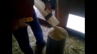 Futteranhänger, Bio Hühner im mobilen Stall maschinell füttern