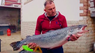 РЫБА СЁМГА в КОПТИЛКЕ, РЫБА ГОРЯЧЕГО КОПЧЕНИЯ. ENG SUB