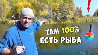 Рыбалка Осенью или ГДЕ НАЙТИ рыбу