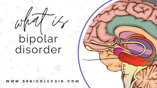 Integrative Bipolar Doctor: What is Bipolar Disorder?