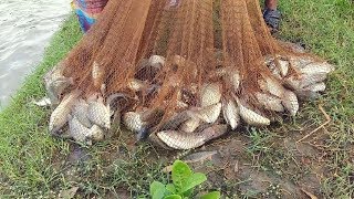 Best Cast Net Fishing Video -The Most Catch Fishing With Beautiful Natural