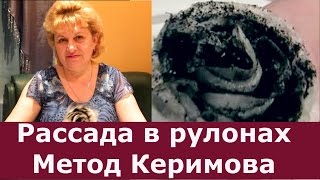 Метод Керимова! Посев семян в рулоны на рассаду. Метод самокрутки или рассада по-московски