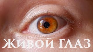 Как сделать? ЖИВОЙ ГЛАЗ НА ТЕЛЕФОНЕ ! Монтаж