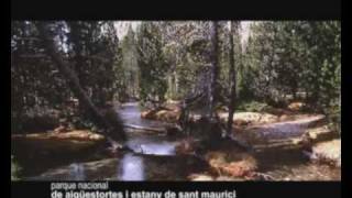 El Parque Nacional de Aigüestortes y Lago de San Mauricio | Ara Lleida