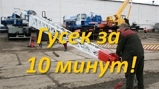 Гусек на Галичанин - как с ним работать?