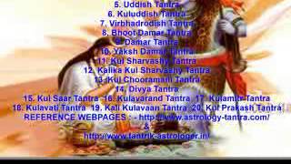Best Astrologer Of India Indian Astrologer Tips For Success astrology psychic tantra vastu guru all