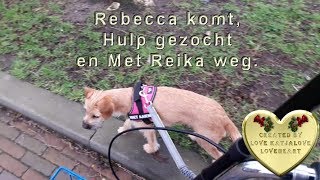 Woensdag 22 januari Rebecca komt,Hulp gezocht en Met Reika weg   #657