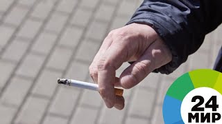 Дело – табак: в Армении усилили борьбу с курением - МИР 24