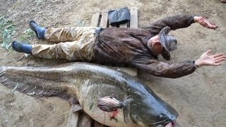 Принципы выбора и покупки квока. Предисловие. Юрий Философ.2015г.