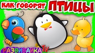 Про птиц для детей. Как говорят птицы. Учим птиц для детей. Развивающие видео про птиц. Пазлы