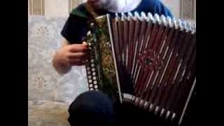 Игра на гармони. Вальс "Тучи в голубом"