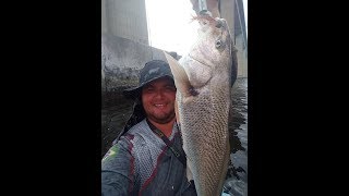 #18# SÓ BITELO, PESCARIA COM CAIAQUE BAIA DA GUANABARA