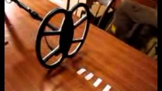 gold metal detector detech eds www.detechitalia.it