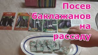 Посев баклажанов. Обработка перекисью водорода. Расчет срока посадки.
