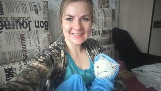ВЛОГ: Миссия помыть ОКНА и КОТА выполнима