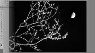 写真の秘訣 　月を入れた風景撮影