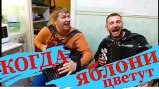 КОГДА ЯБЛОНИ РАСЦВЕТУТ НА ГАРМОНИ И БАЯНЕ!!! СОВРЕМЕННЫЕ ПЕСНИ на БАЯНЕ!!!