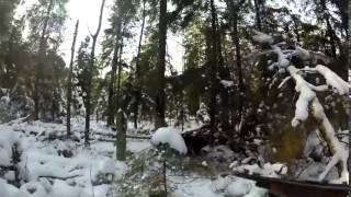 Зимняя Охота на кабана YouTube