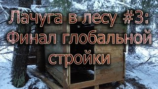 Лачуга в лесу #3 (финал глобальной стройки)