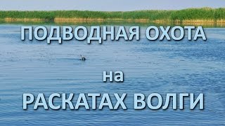 Подводная охота на раскатах Волги