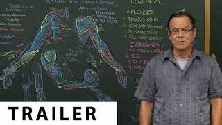 Rey's Anatomy: The Arm - TRAILER (Ultra HD 4K)