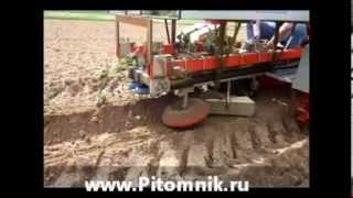 посадка саженцев, сеянцев посадочной машиной