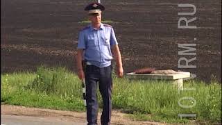 Доверяют ли люди ГИБДД?
