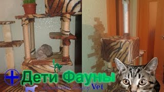 Игровой комплекс для кошки своими руками
