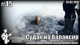 Судак на балансир или зимняя ловля клыкастого на Нижней Волге - 17.02.2017