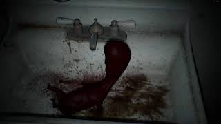 P.T. for PC v0.9