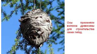 67 Как делают бумагу