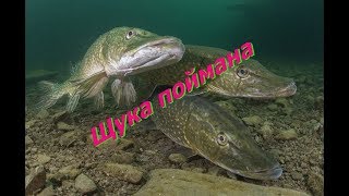 рыбалка на жерлицы 2019-2020
