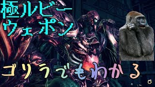 【極ルビーウェポン破壊作戦】解説動画【マクロ付き】