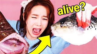 Mukbang YouTuber Won't Stop Eating ALIVE Animals