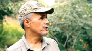 eXploring - The beauty in Nature | Lufasi Park